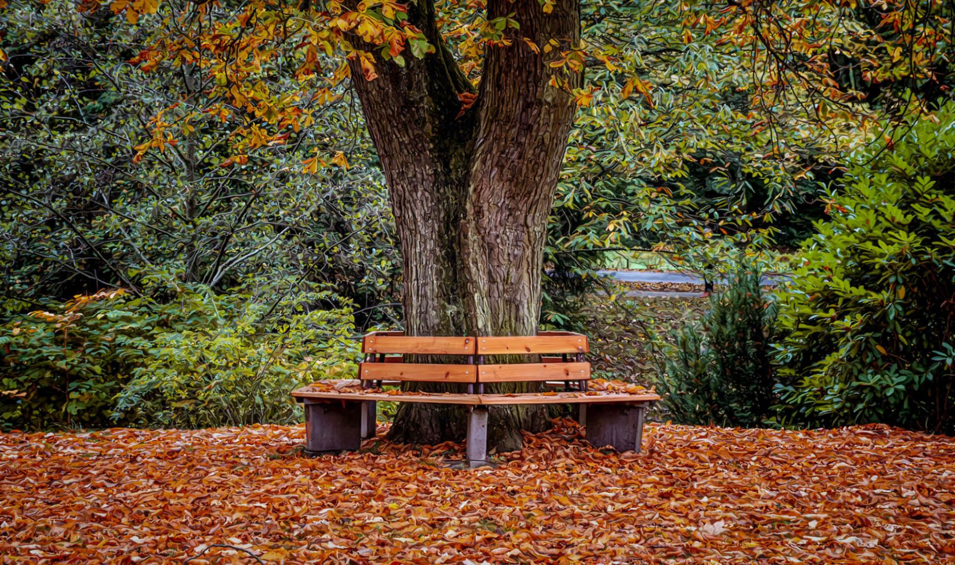 EXT. AUTUMN BENCH 2 – DAY