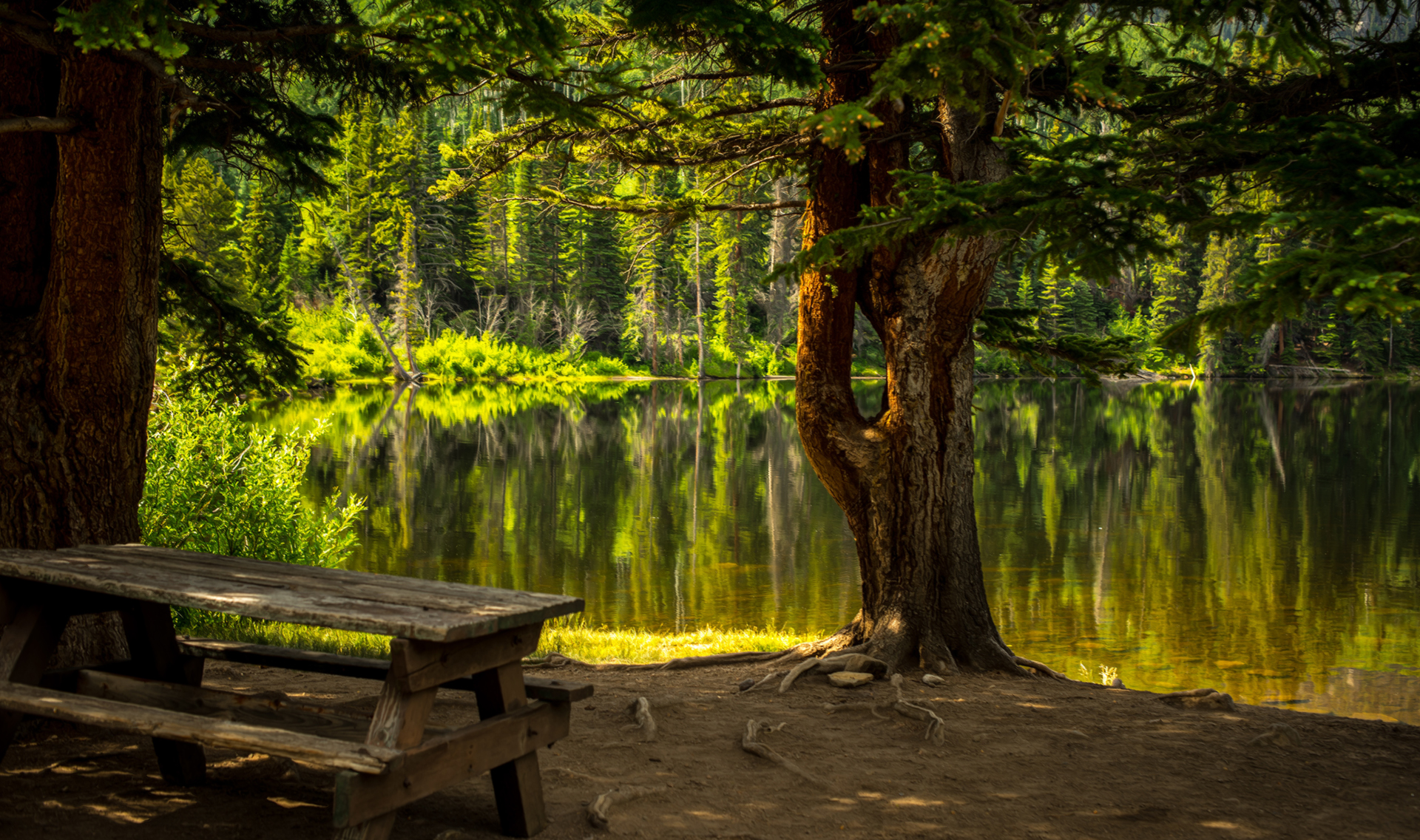 EXT. LAKESIDE BENCH – DAY