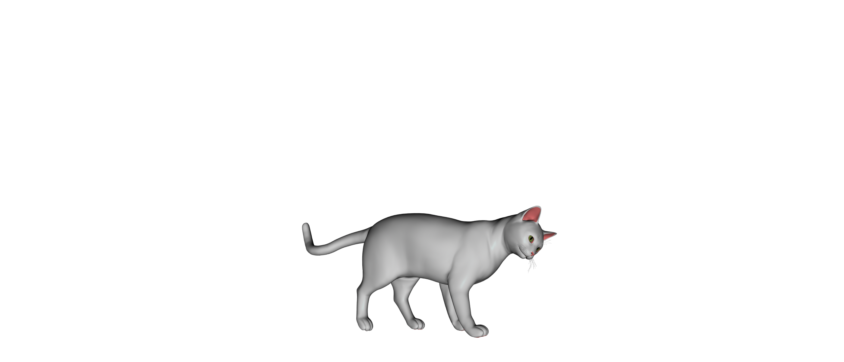 WHITE CAT 3